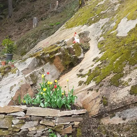 홈스테이 Na Skraju *