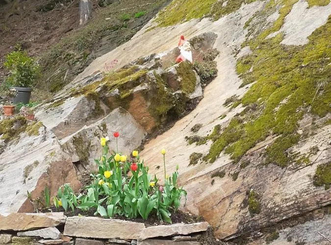 Quarto em Acomodações Particulares Na Skraju *